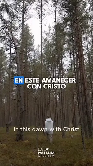 Encuentra la armonía divina
