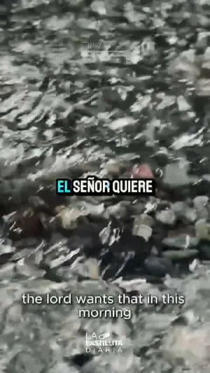 Renueva tu espíritu con paz