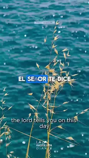 Conecta con el Poder Divino